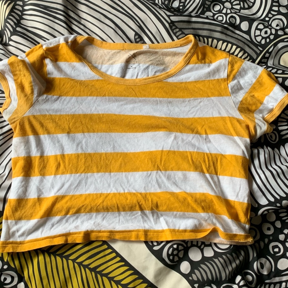 Pacsun striped cropped tshirt